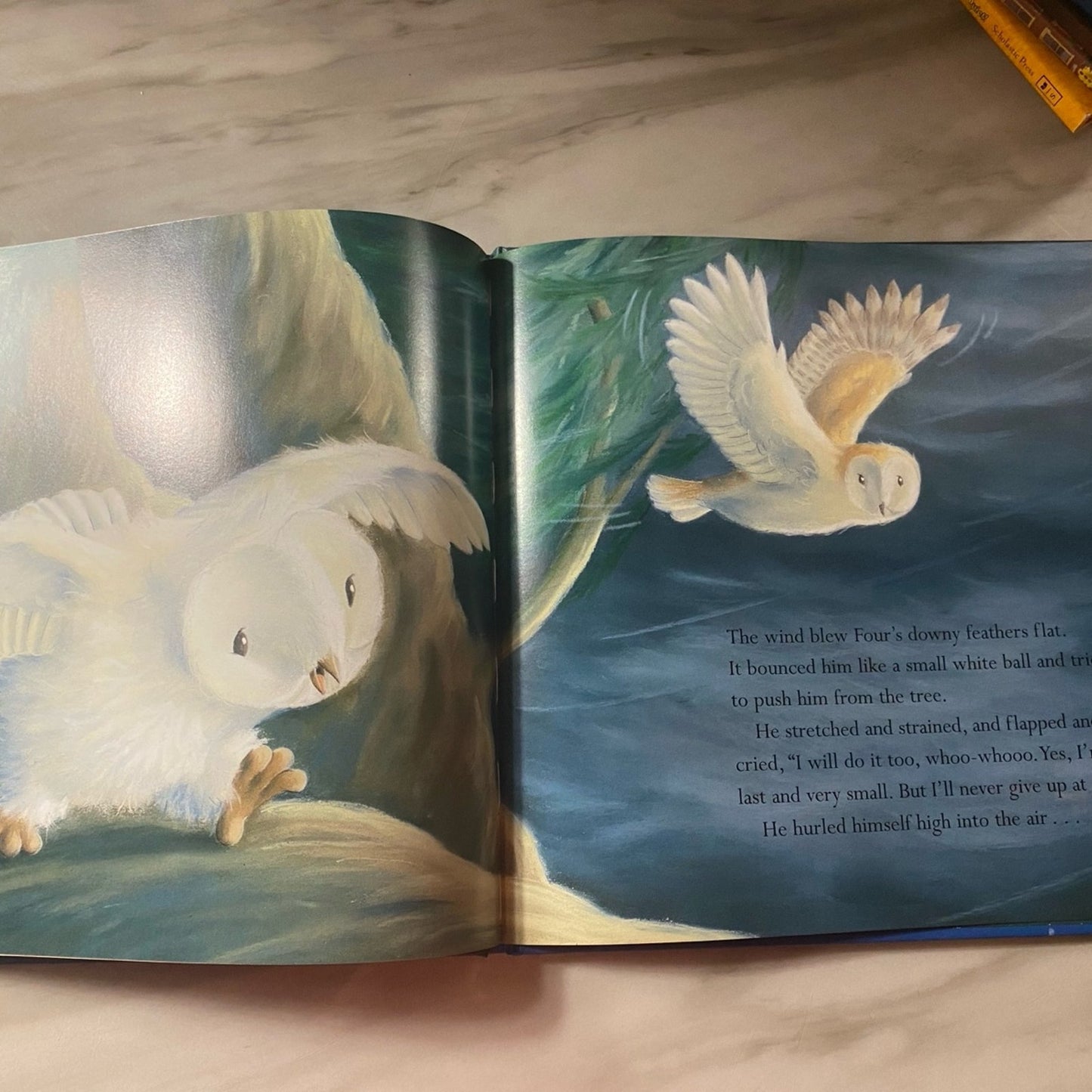 The littlest owe book