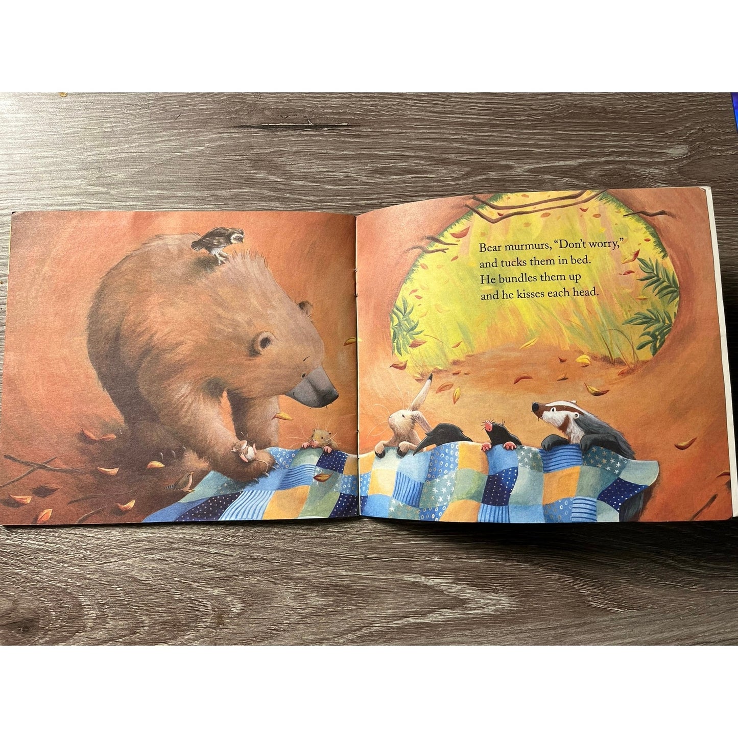 Bear Feels Sick Book