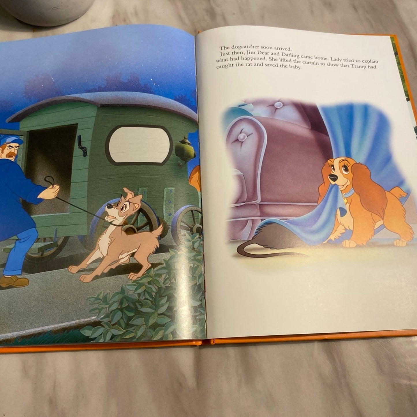 Lady in the tramp hardcover book