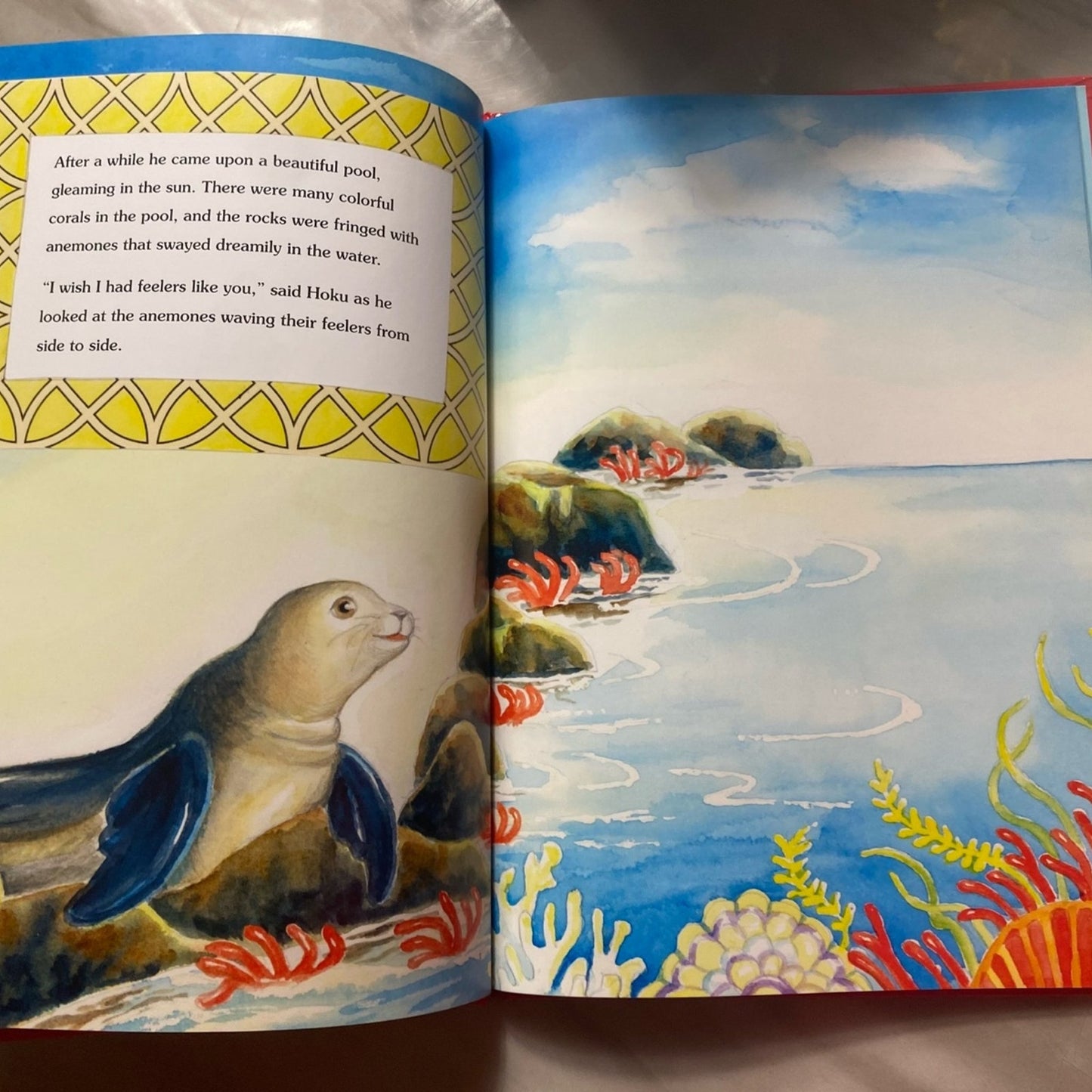 Hoku the seal three wishes hard cover book