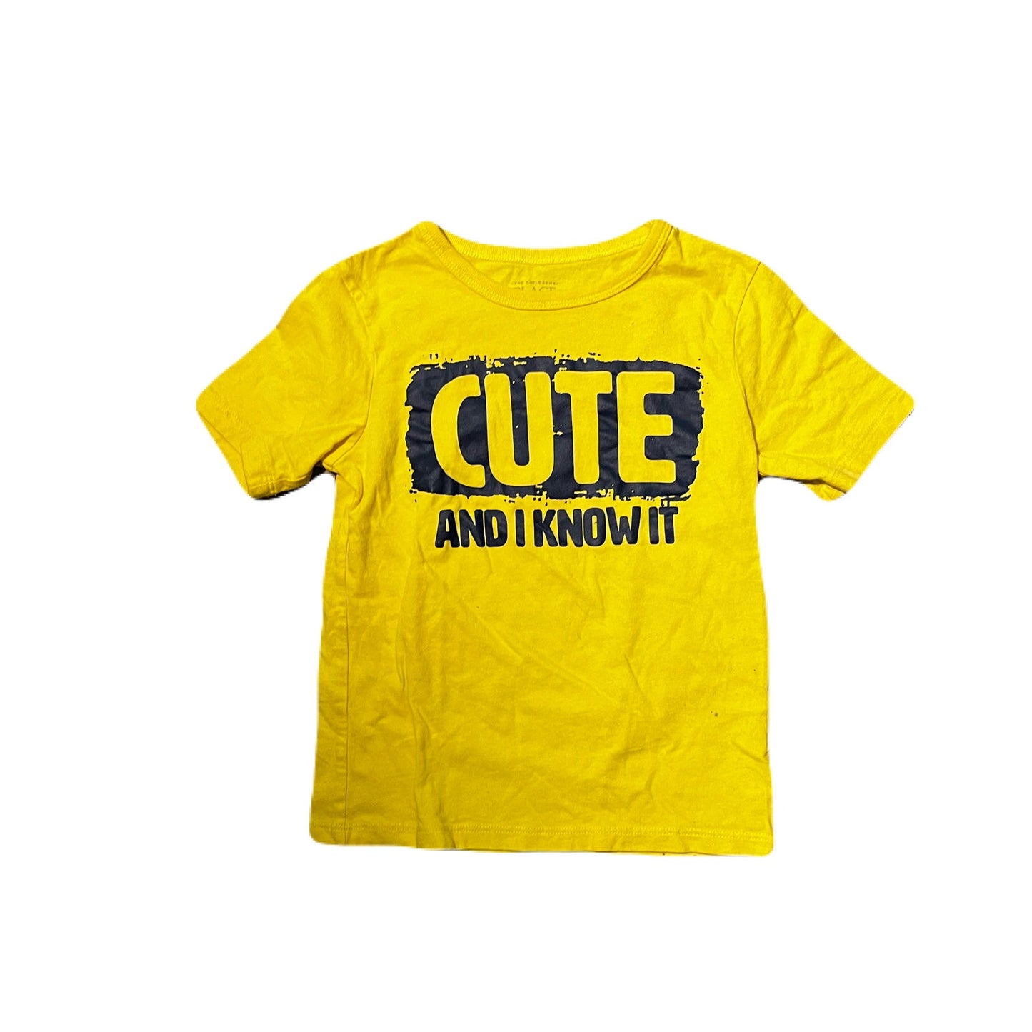A Bundle Of 9 Kids Name Brand Tops Size 4T