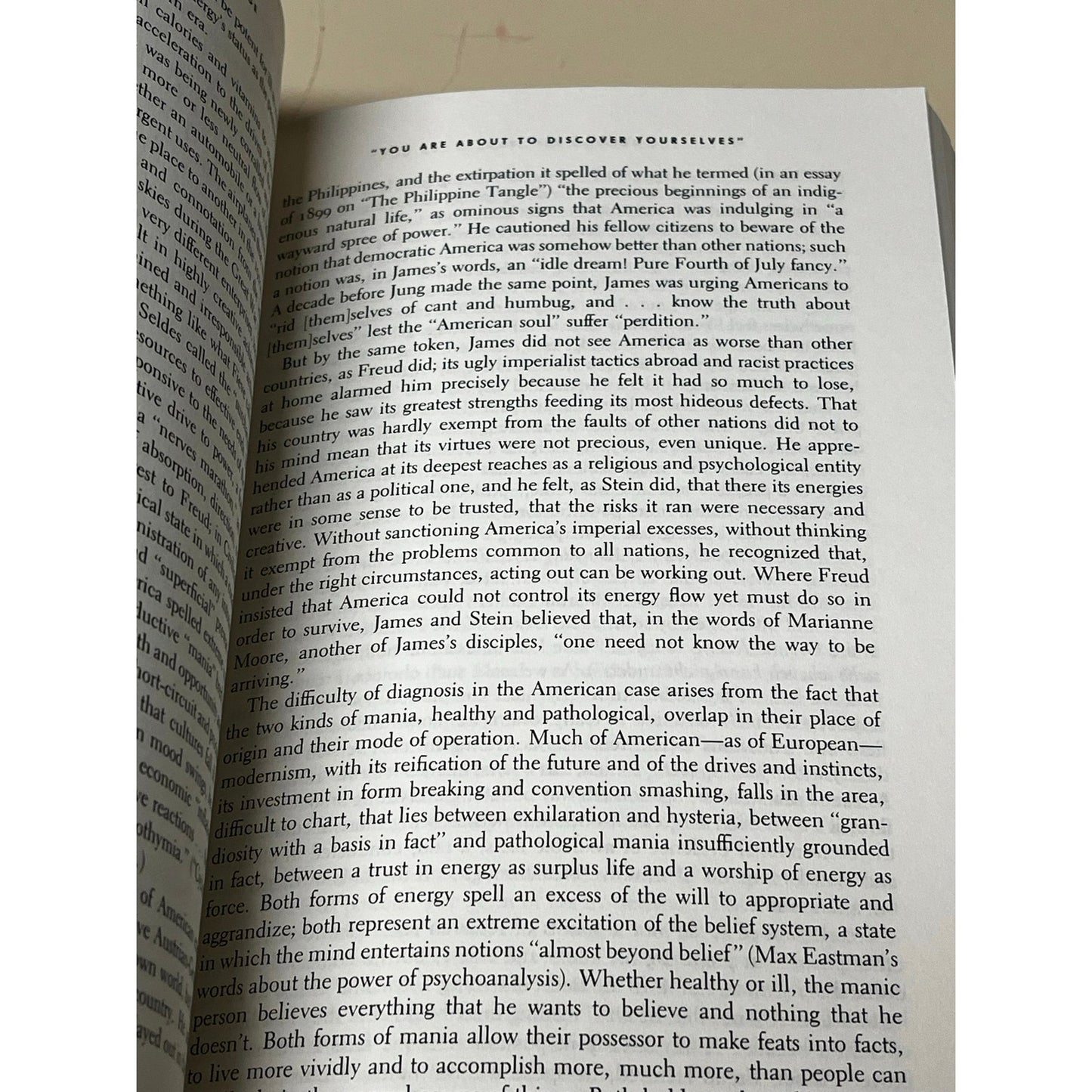 Terrible Honesty: Mongrel Manhattan in the 1920s Book