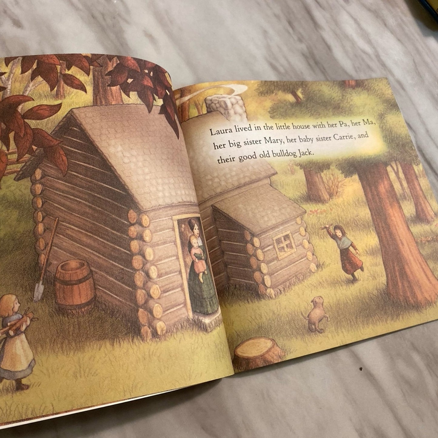Winter days in the big woods book