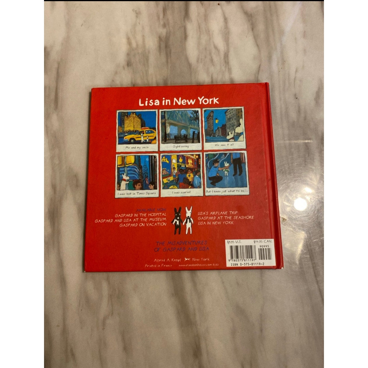 Lisa in New York hardcover book