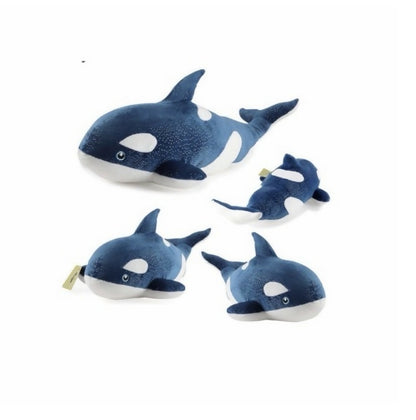 Orca Killer Whale