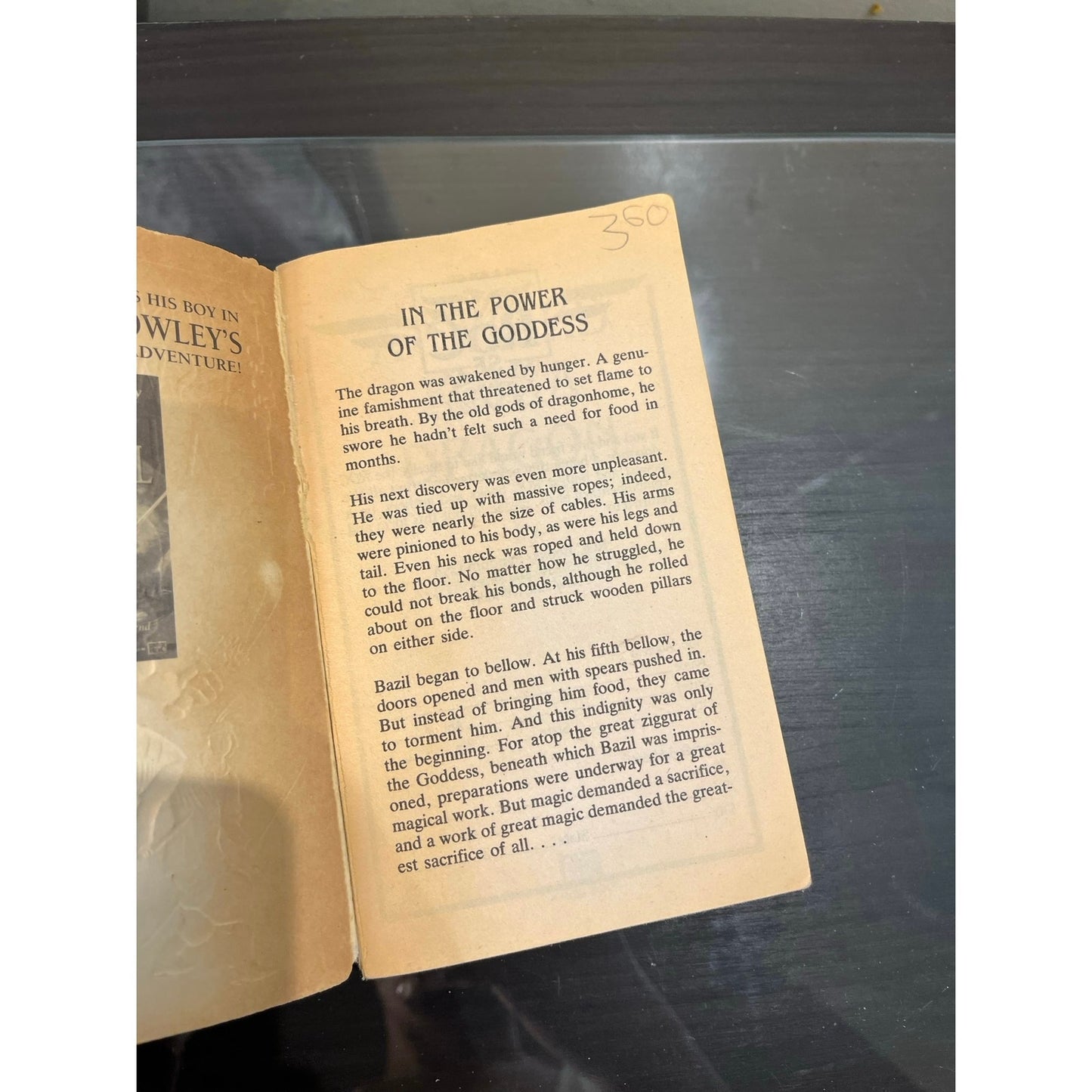 A Sword For A Dragon Softcover Book