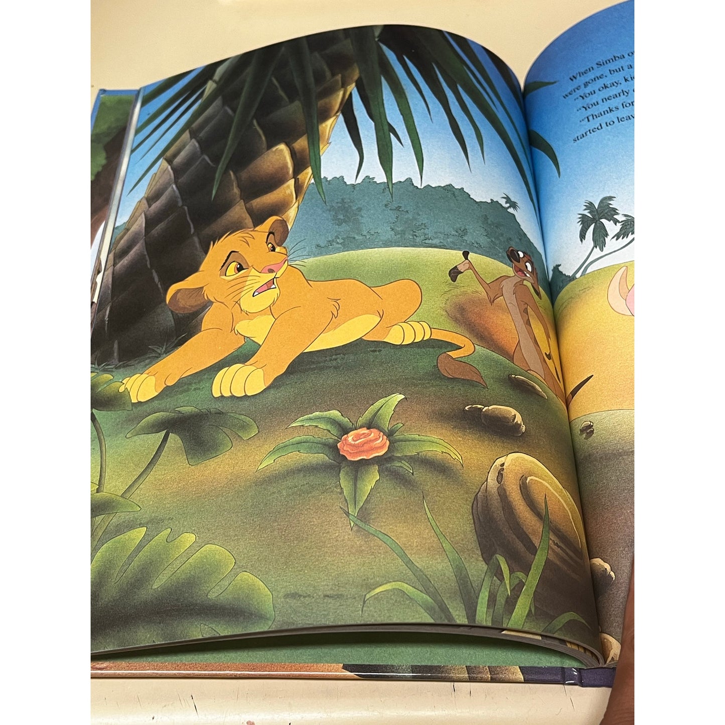 The Lion King (Disney Classic Series) Book
