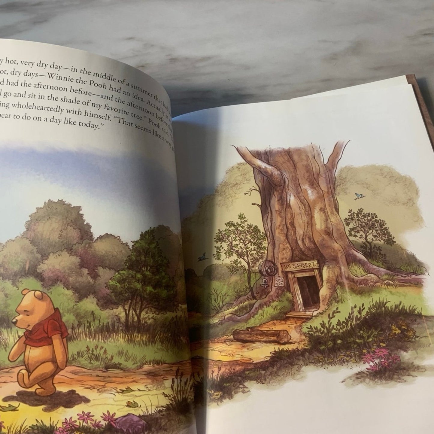 Winnie The Pooh: One Special Tree by K. Emily Hutta DISNEY Book