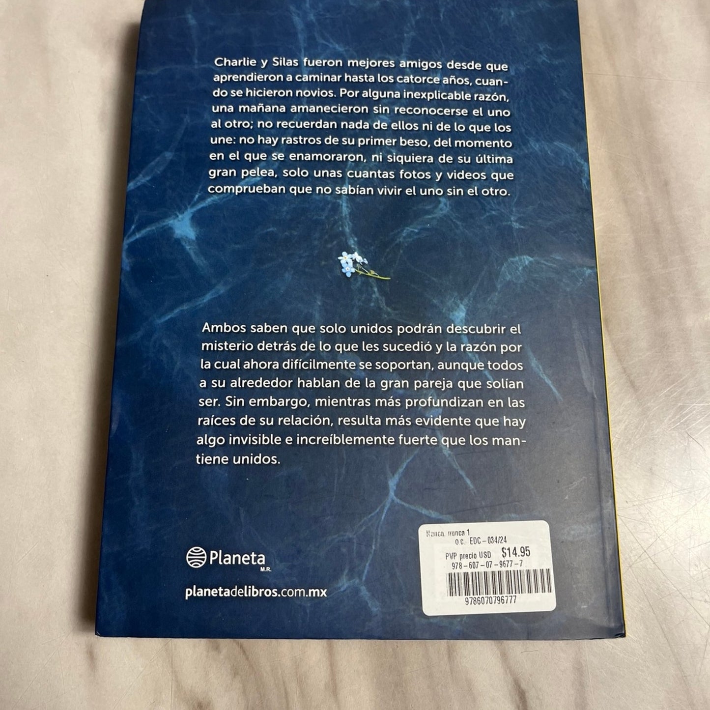Nunca, nunca 1 / Never Never (Spanish Edition) (Nunca, Nunca / Never, Never, 1)