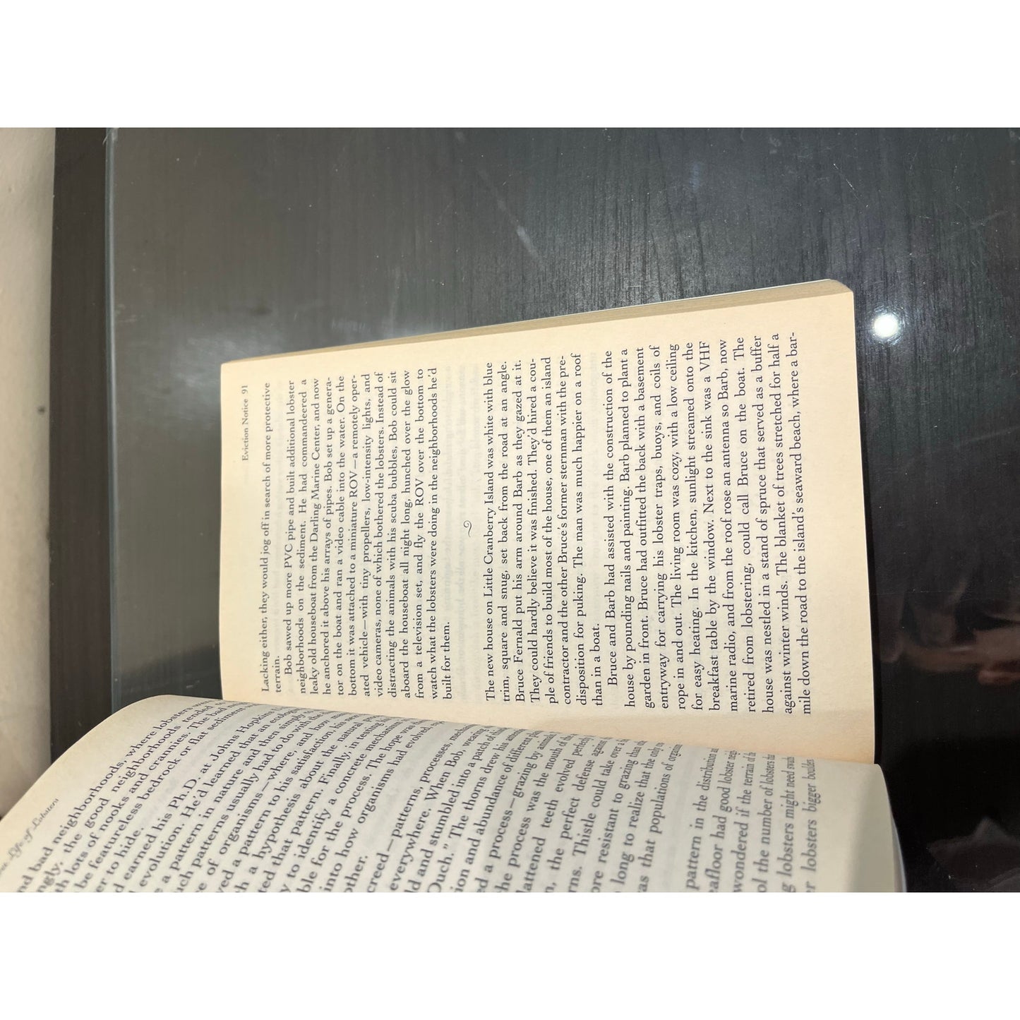 The Secret Life Of Lobster Book