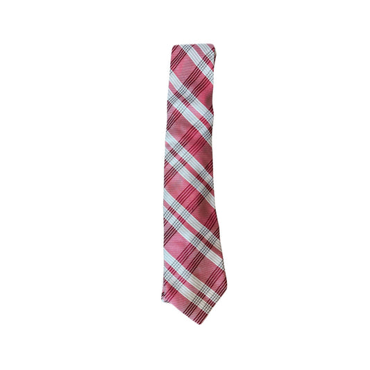 Express Men’s Tie Burgundy & Sliver