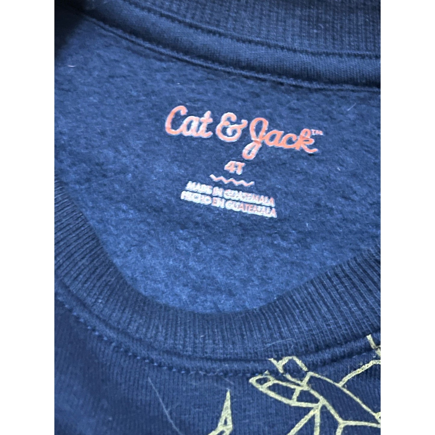 Cat & Jack dinosaur CrewNeck Sweater Size 4T