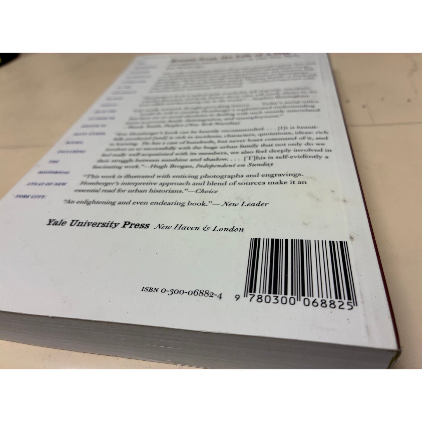 Scenes from the Life of a City: Corruption and Conscience in Old New York Book