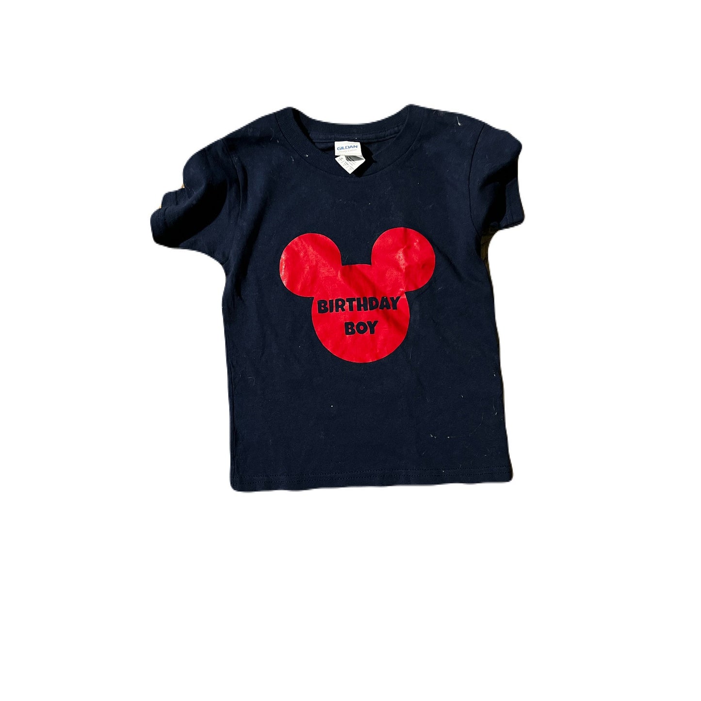 A Bundle Of 9 Kids Name Brand Tops Size 4T