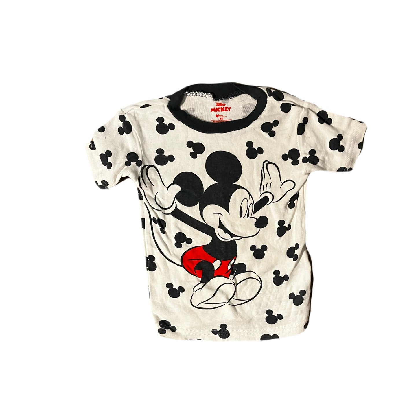 A Bundle Of 9 Kids Name Brand Tops Size 4T