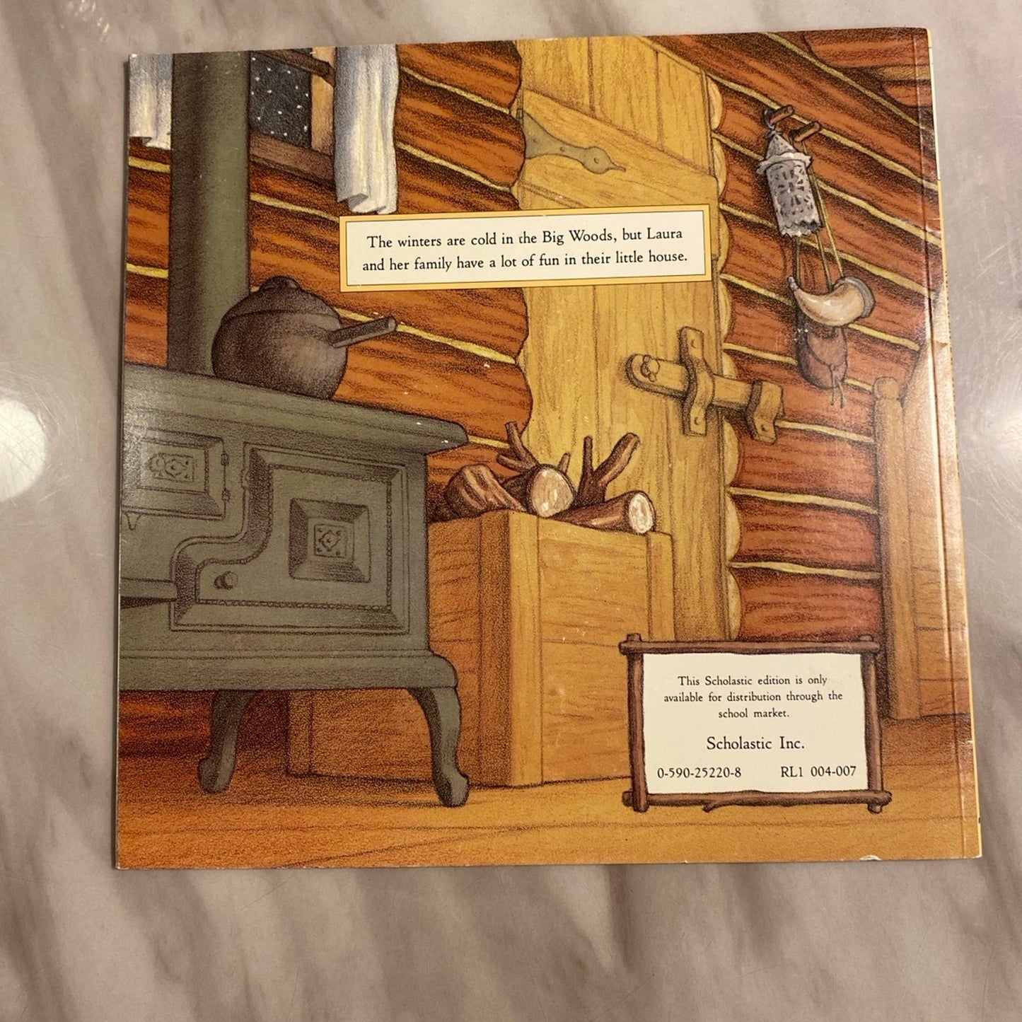 Winter days in the big woods book