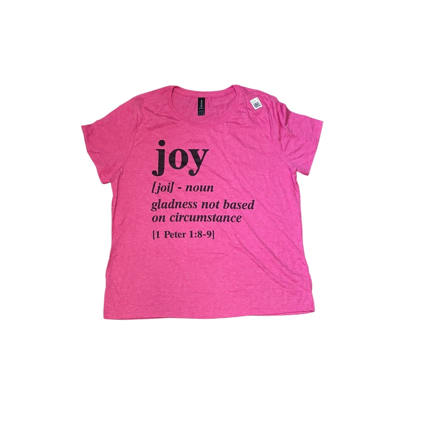 Gildan Women’s Joy Gladness Not Based On Circumstance Pink T-shirt