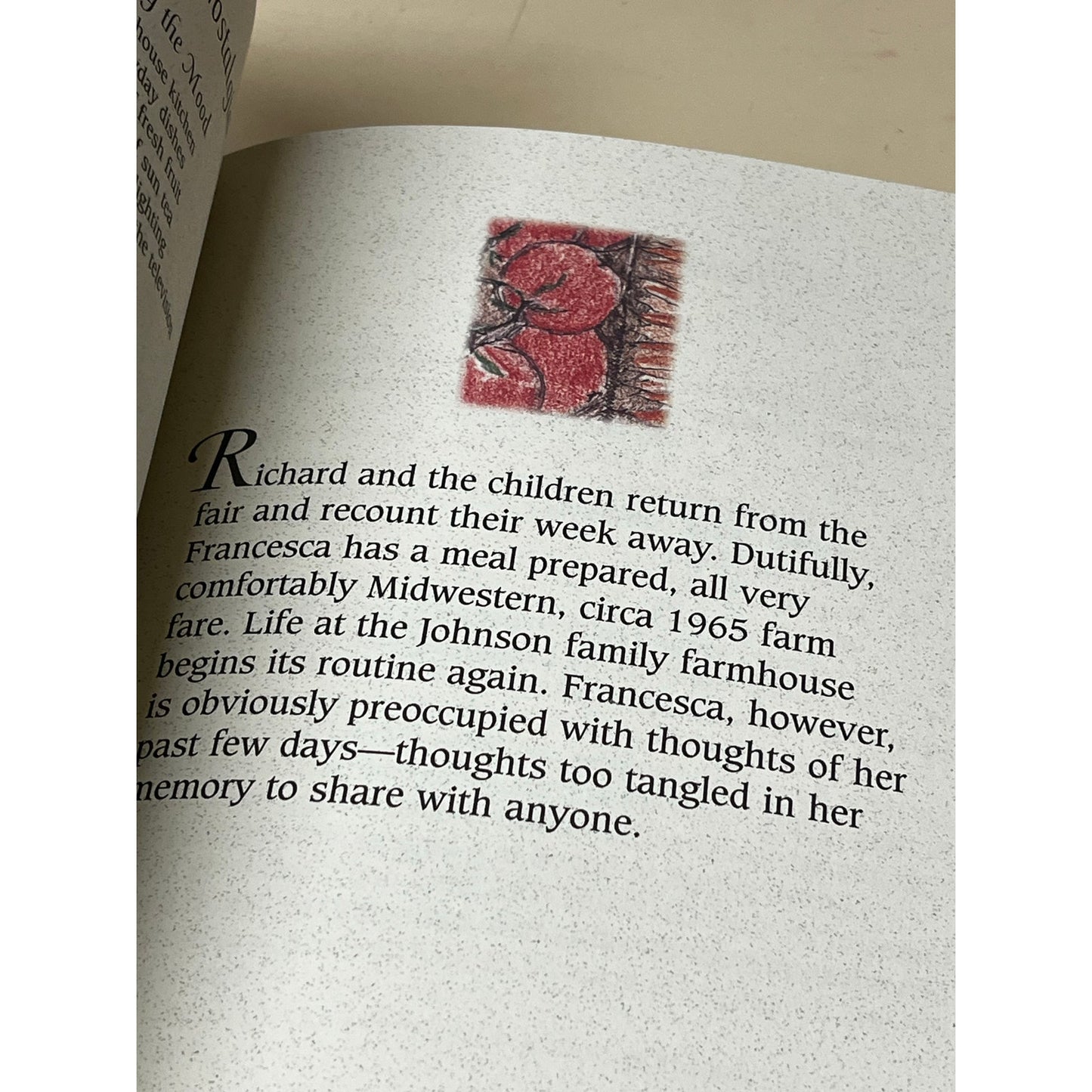 The Recipes of Madison Country Hardcover - 1995by Hemminger, Jane M.