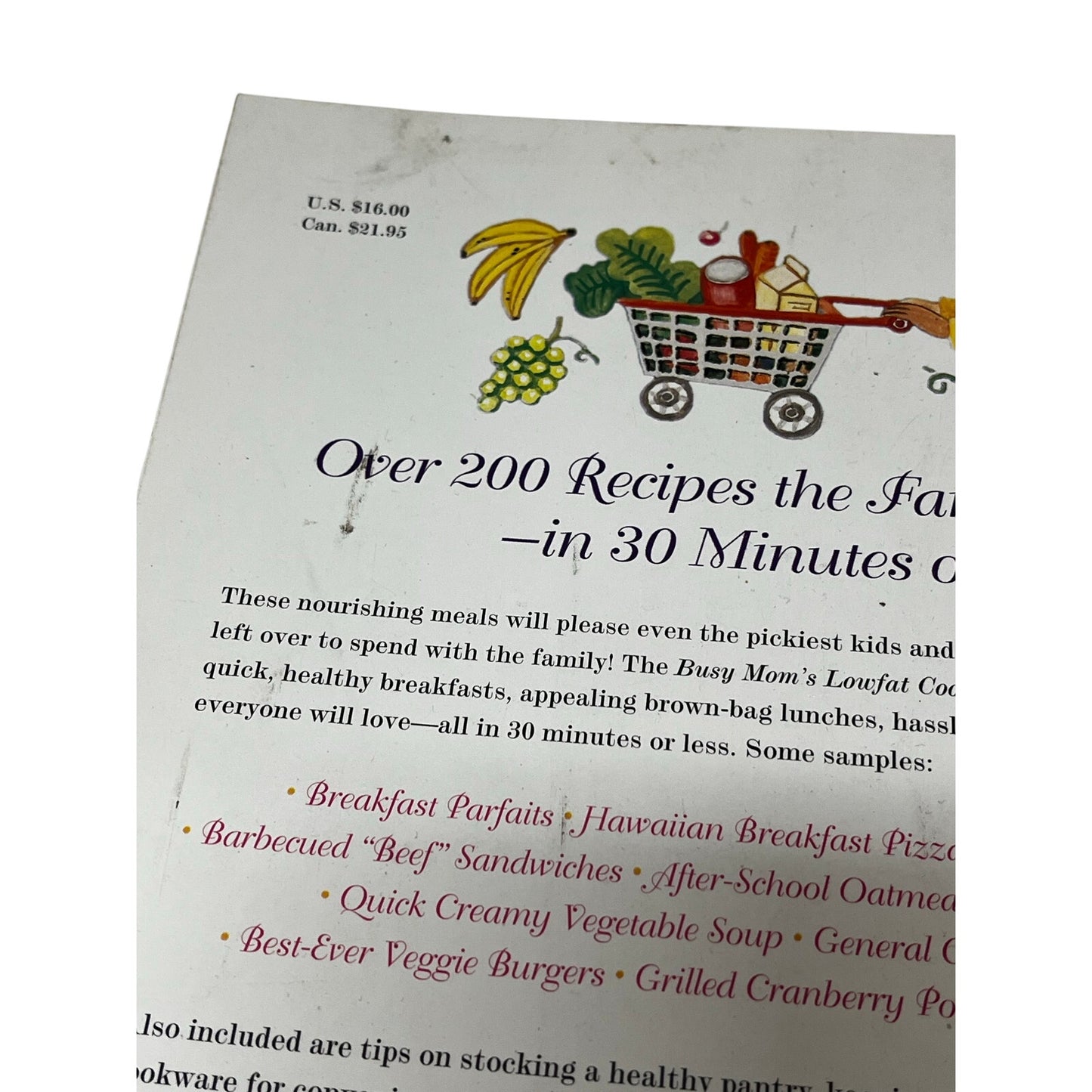 Busy Mom's Lowfat Cookbook: Healthful Family Dishes the Kids Will Love in 30 Minutes (or Less!)