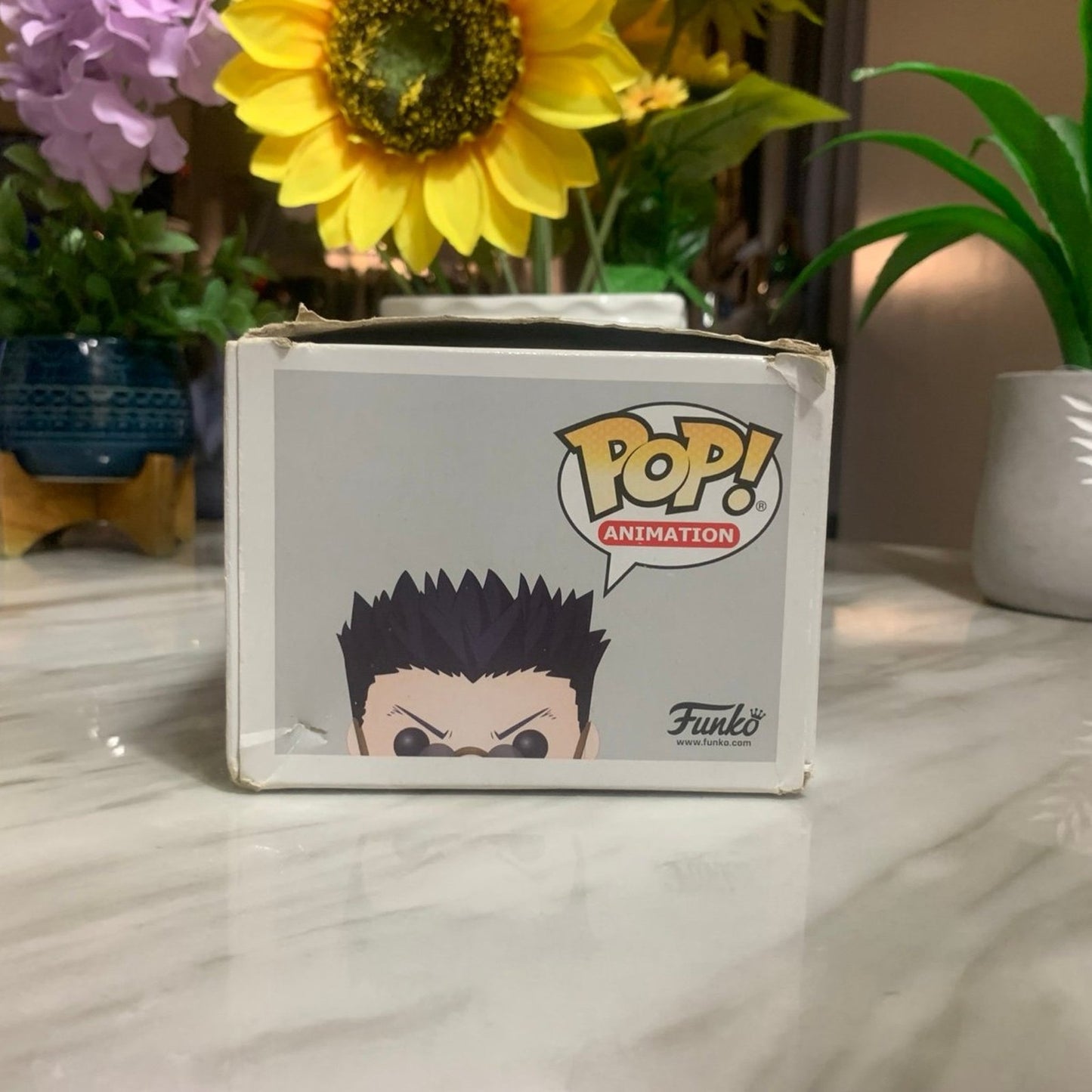 Funko POP! Anime: Hunter X Hunter LEORIO Figure #700