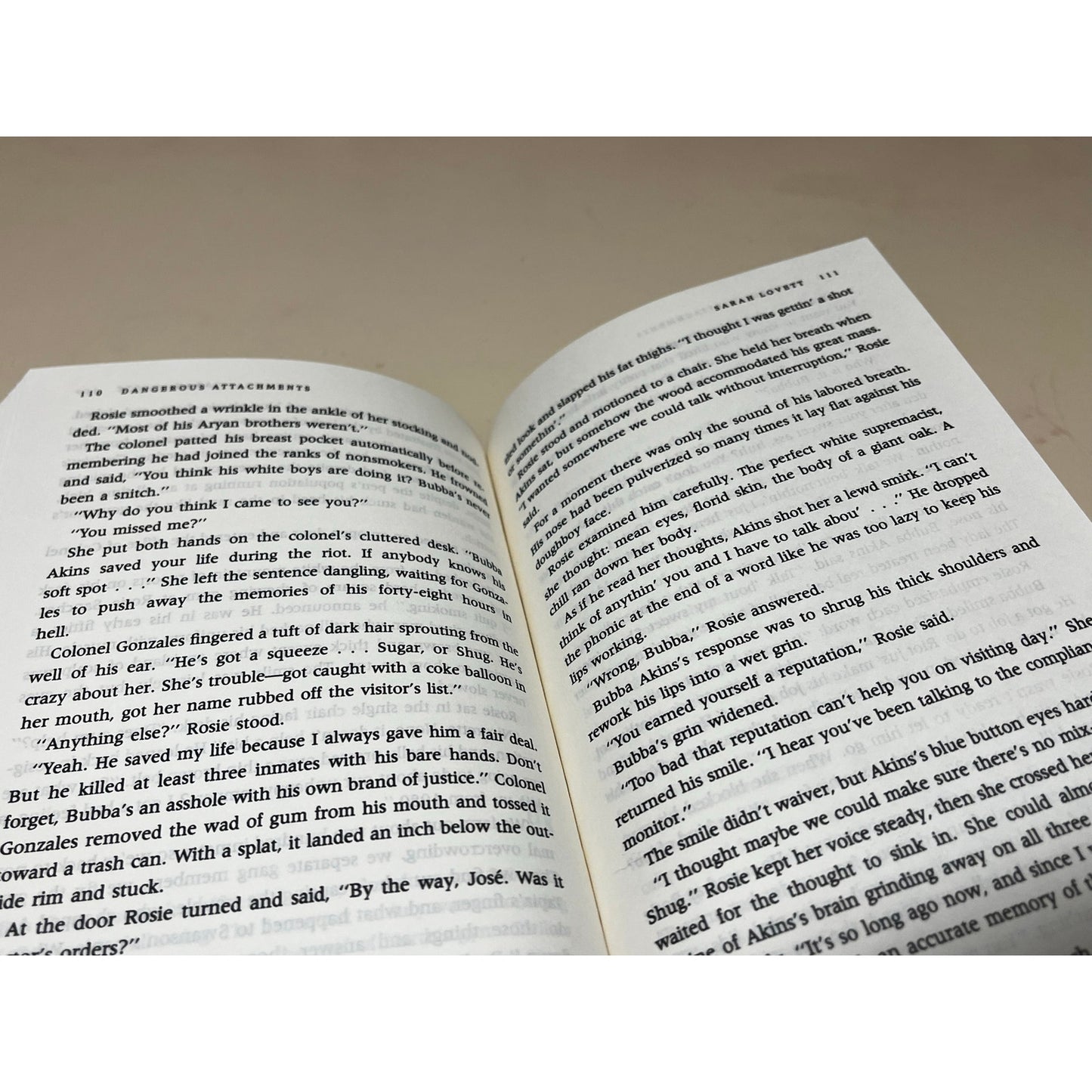 Dangerous Attachments Sarah Lovett HardCover Book