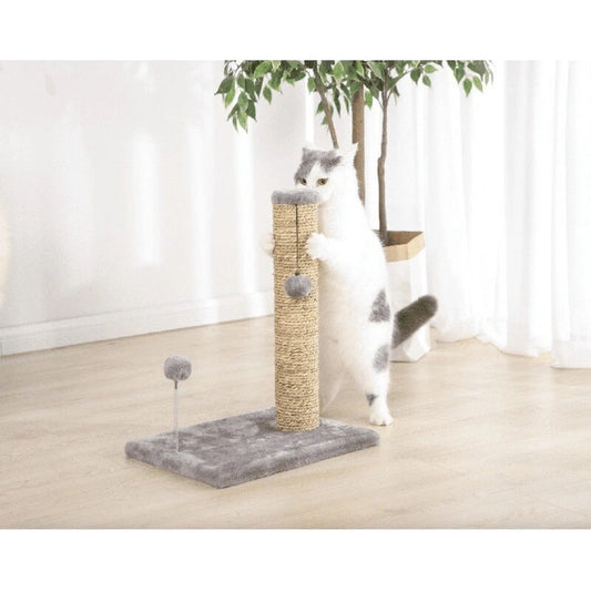 Seagrass Cat Scratch & Play Post W/ Dangle Toys Entertainment Exercise Portable