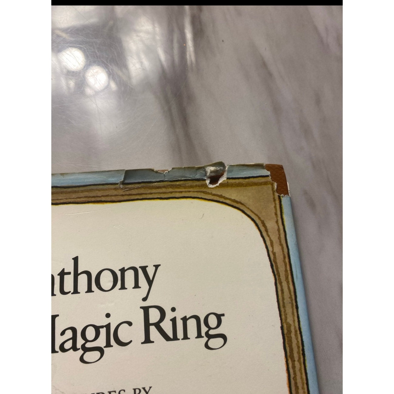 Big Anthony and the magic Ring hardcover Book