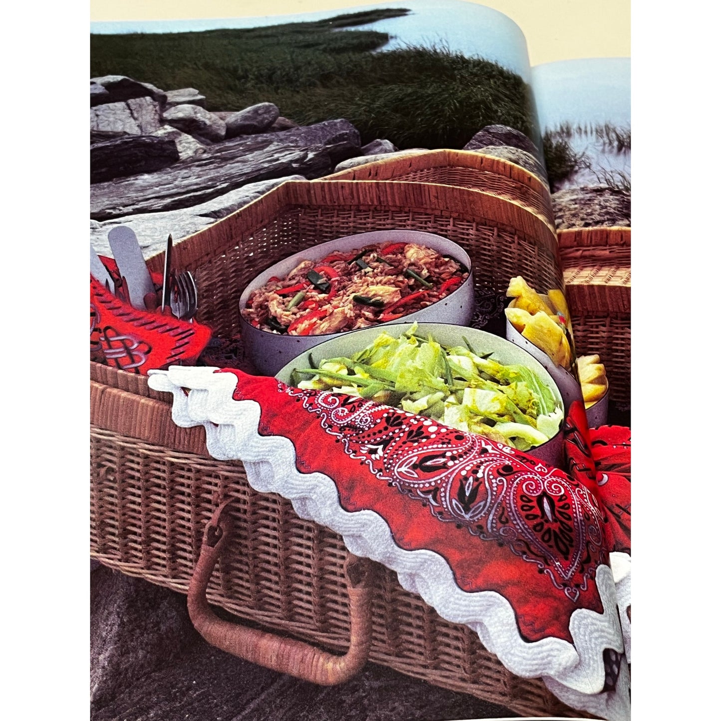 Picnic and Outdoor Menus (Great Meals in Minutes)