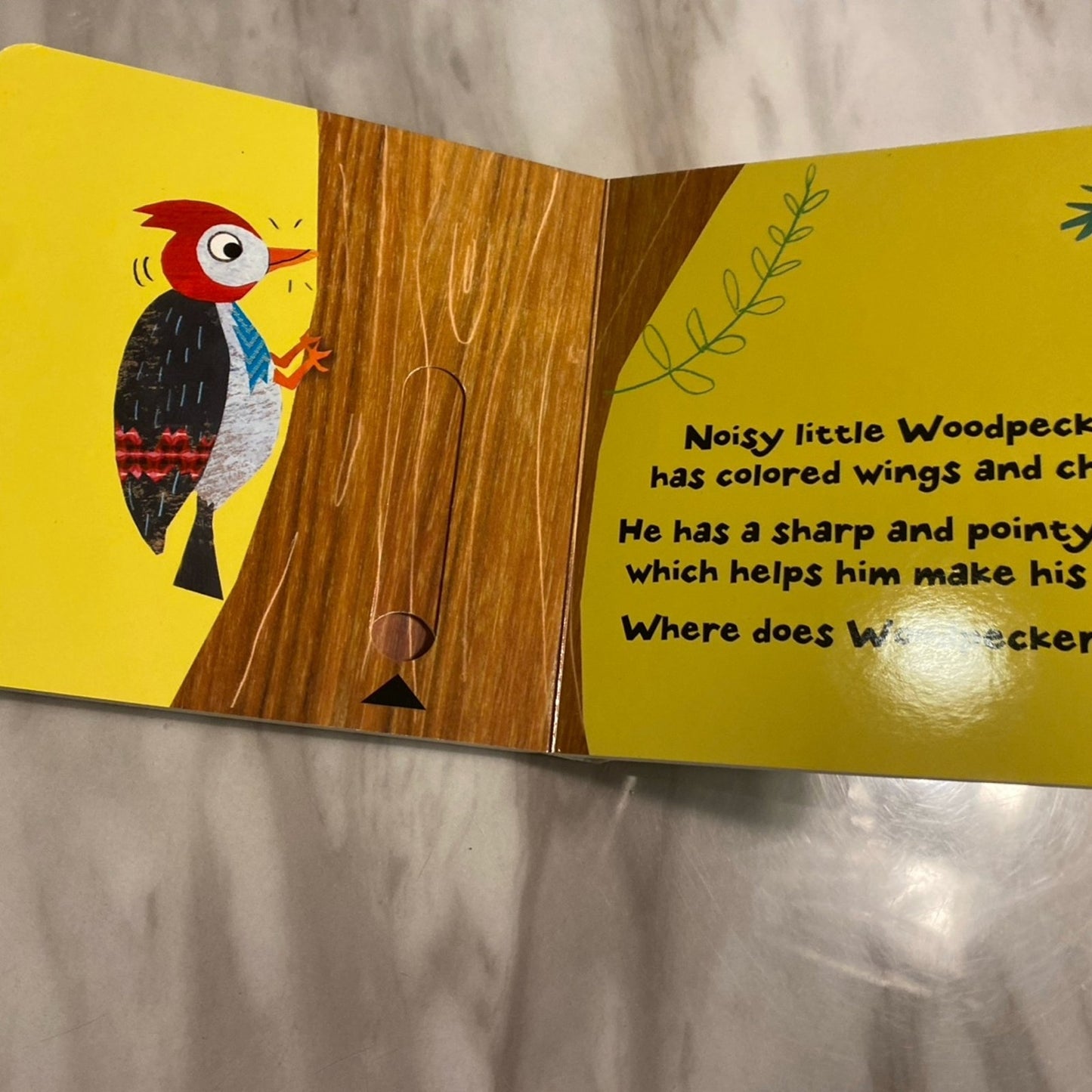 Forest homes book