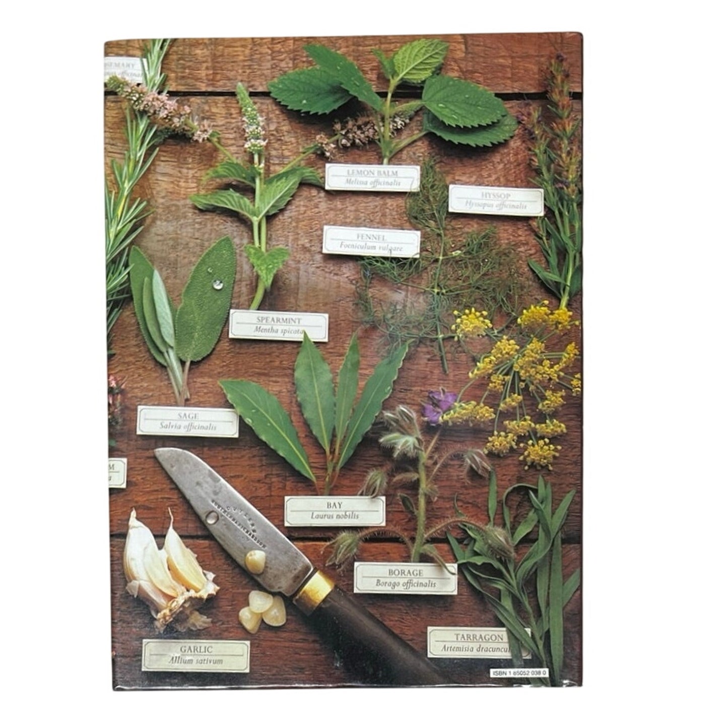 The Herb Book Arabella Boxer & Philippe Back HardCover Bok