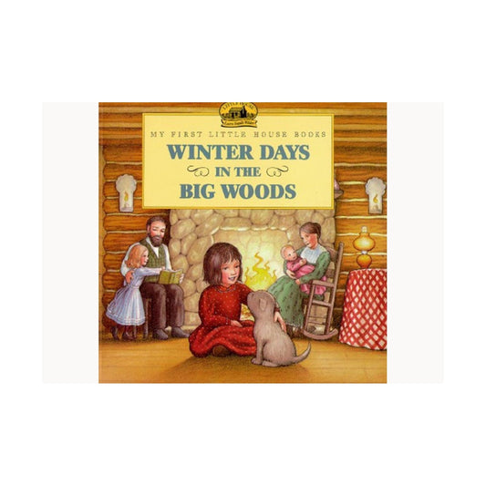 Winter days in the big woods book