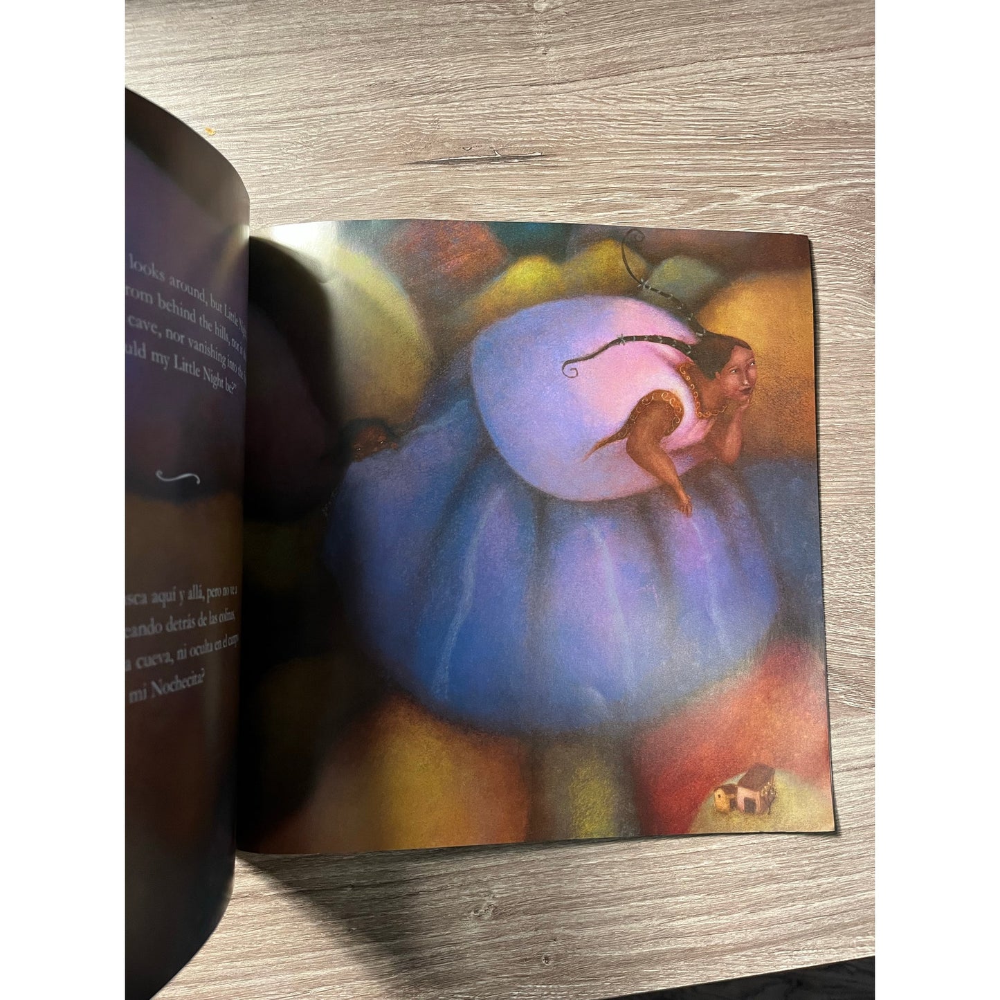 Little Night Nochecita Book