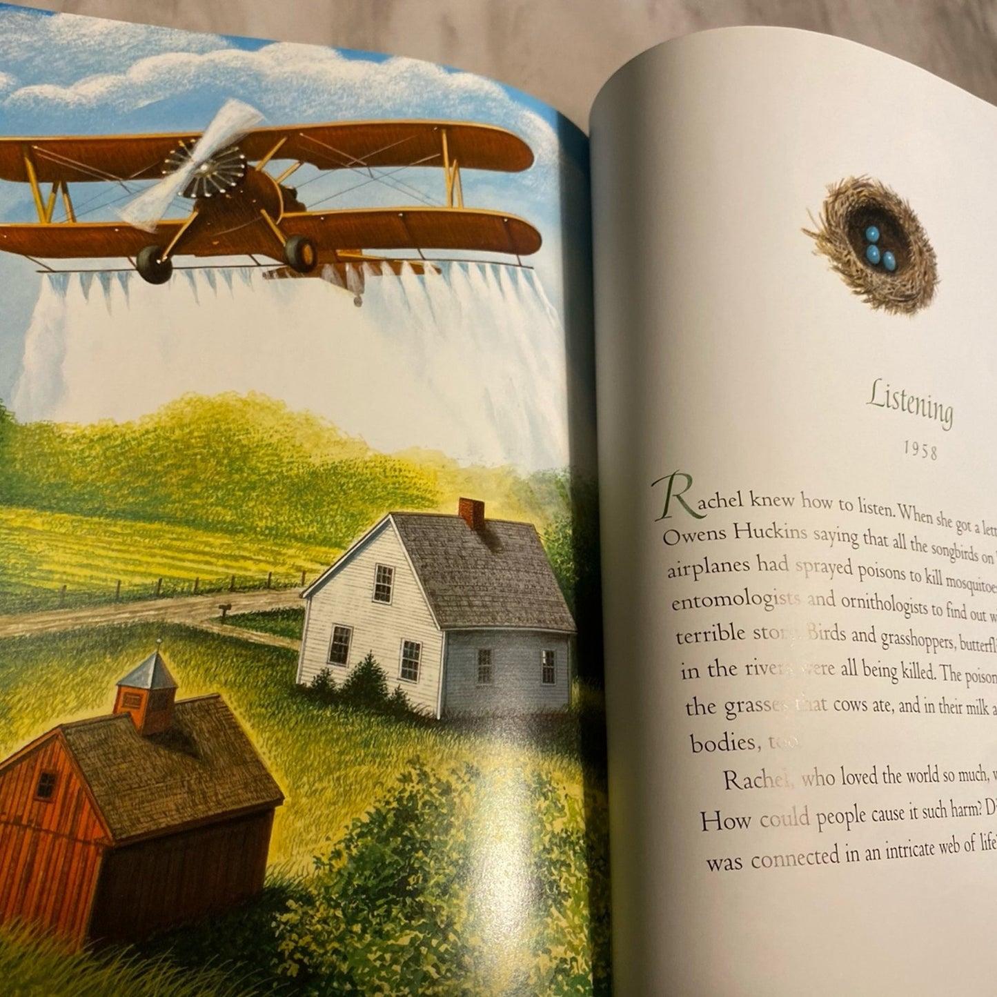 Rachel The Story Of Rachel Carson Hardcover book