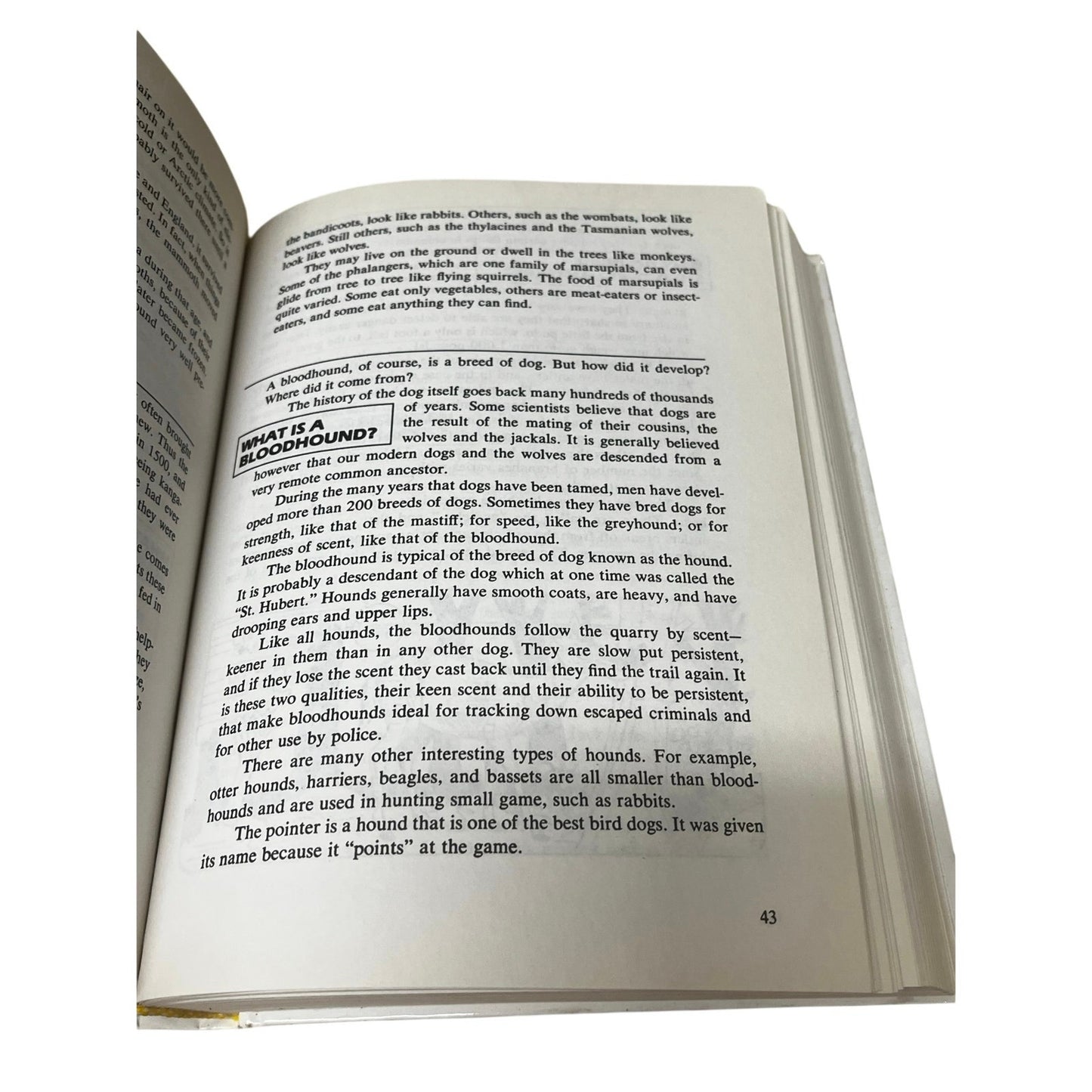 The big book of tell me why