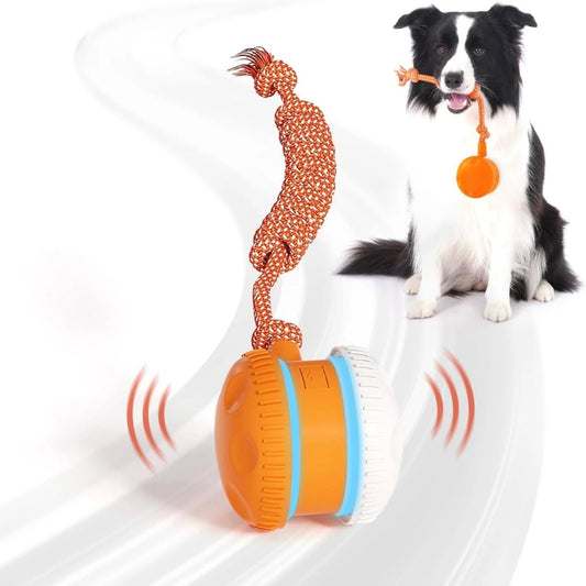Interactive Dog Ball, Random Path Electric Automatic Moving and Rolling Dog Toy