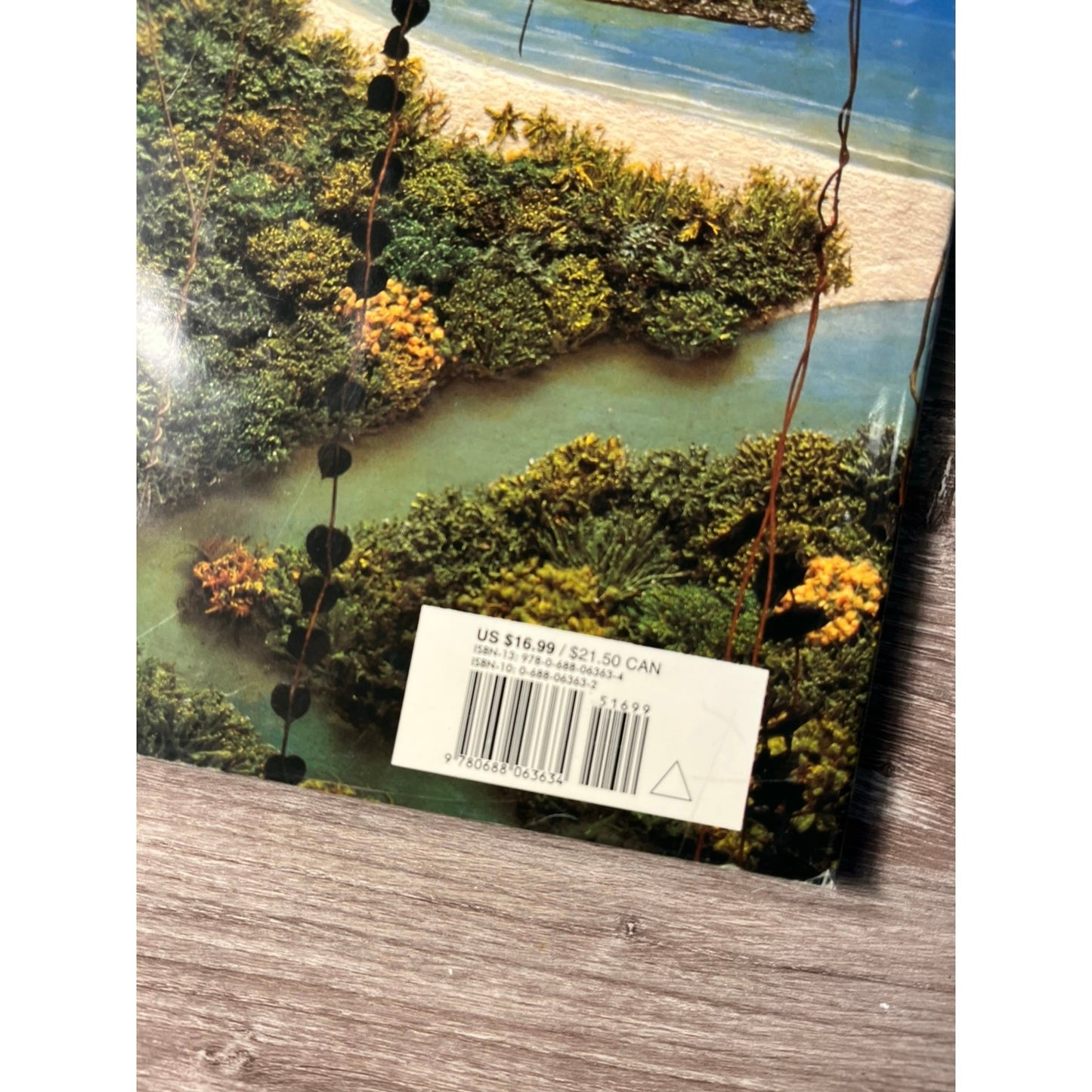 Where The Forest Meet The Sea By Jeannie Baker