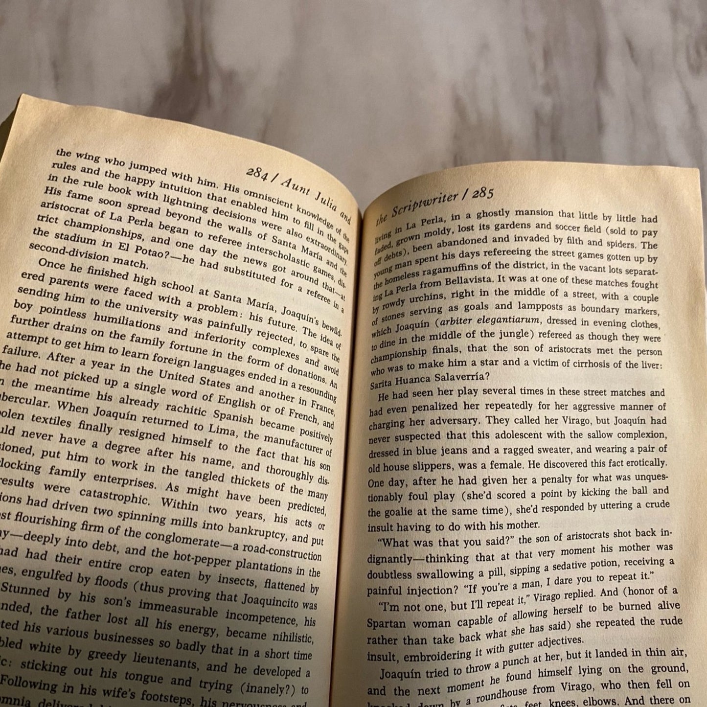 Aunt Julia And The Scriptwriter book
