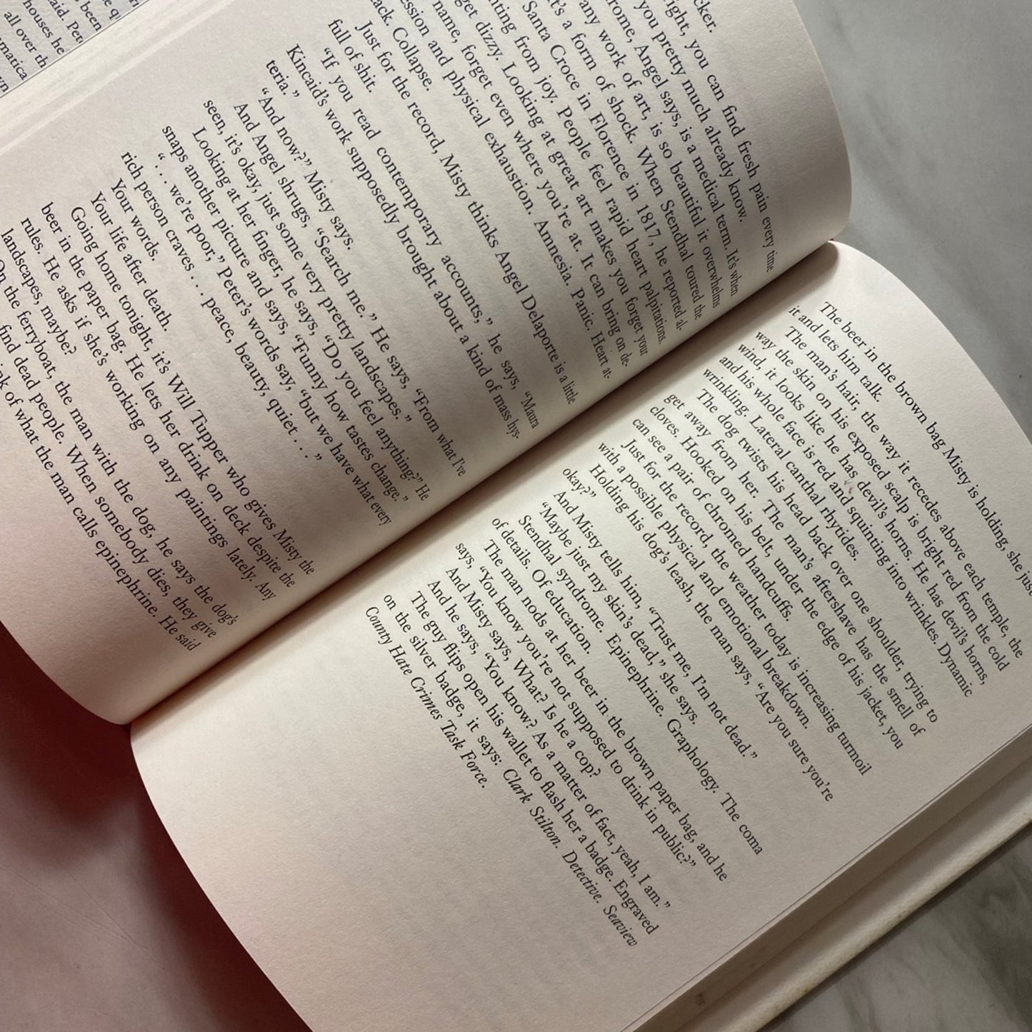 Diary A novel Book