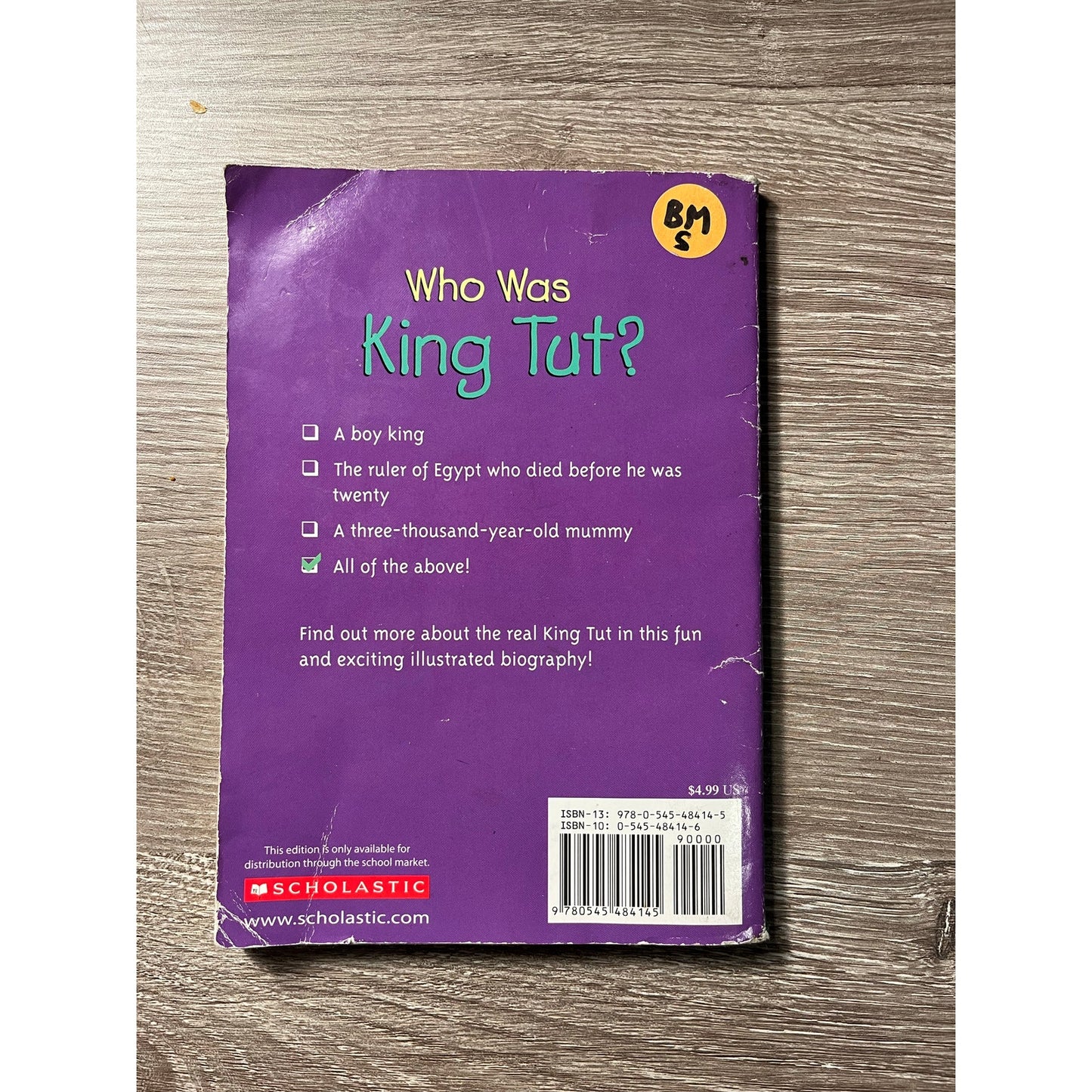 Who Was King Tut?