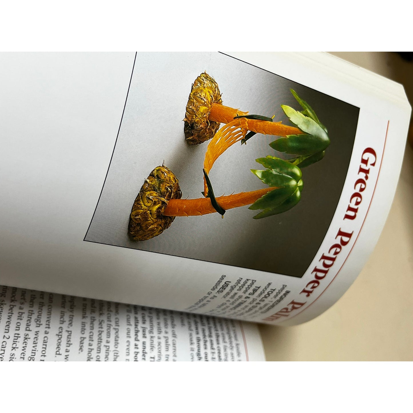 Garnishing: A Feast for Your Eyes Francis Talyn Lynch Paper Book