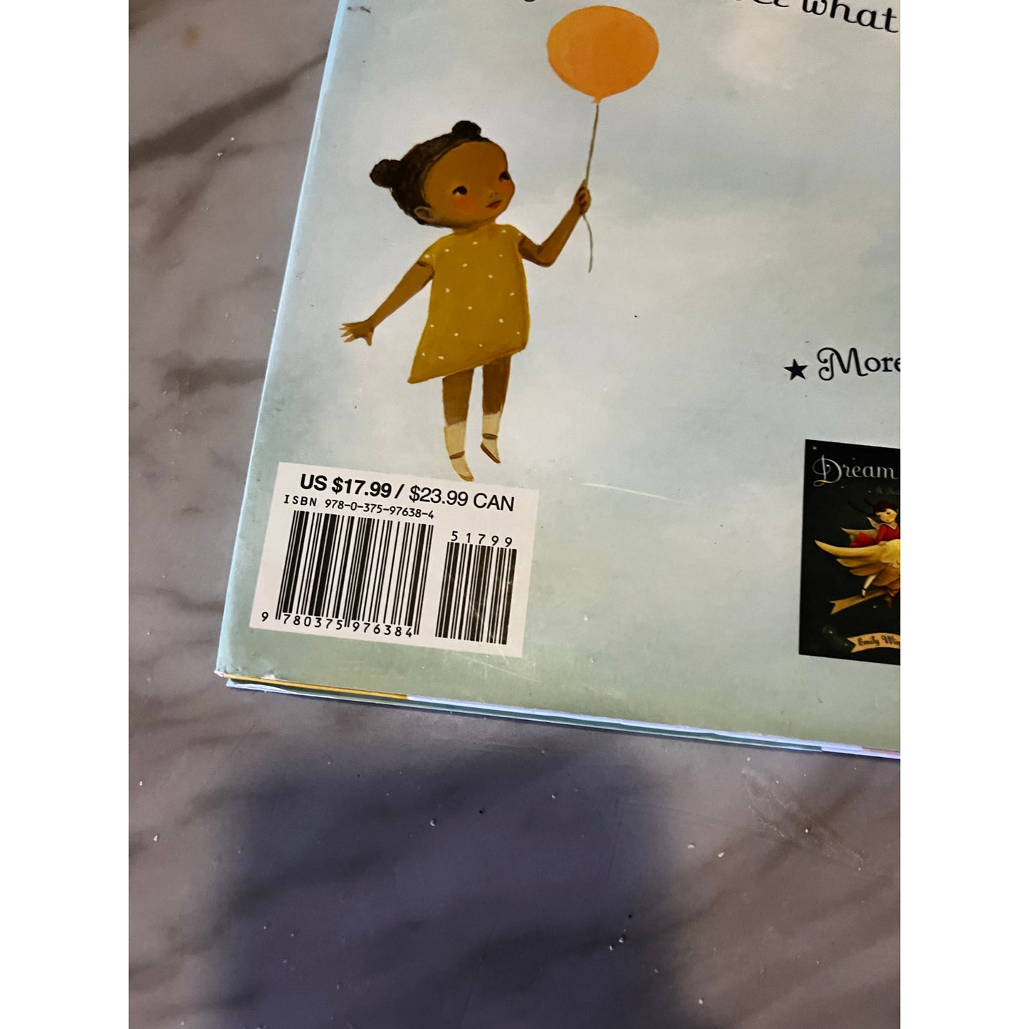 The Wonderful Thing You Will Be Hard Cover Book