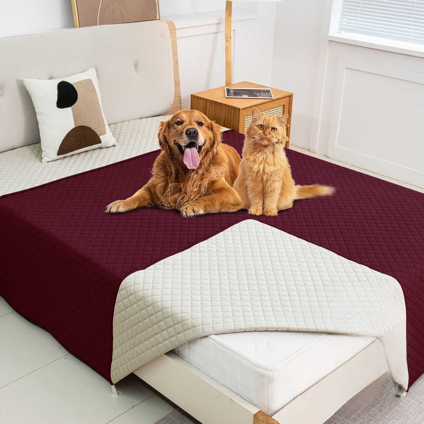 Washable Pet Blanket Furniture Protector Sofa Couch Cover for Dogs and Cats