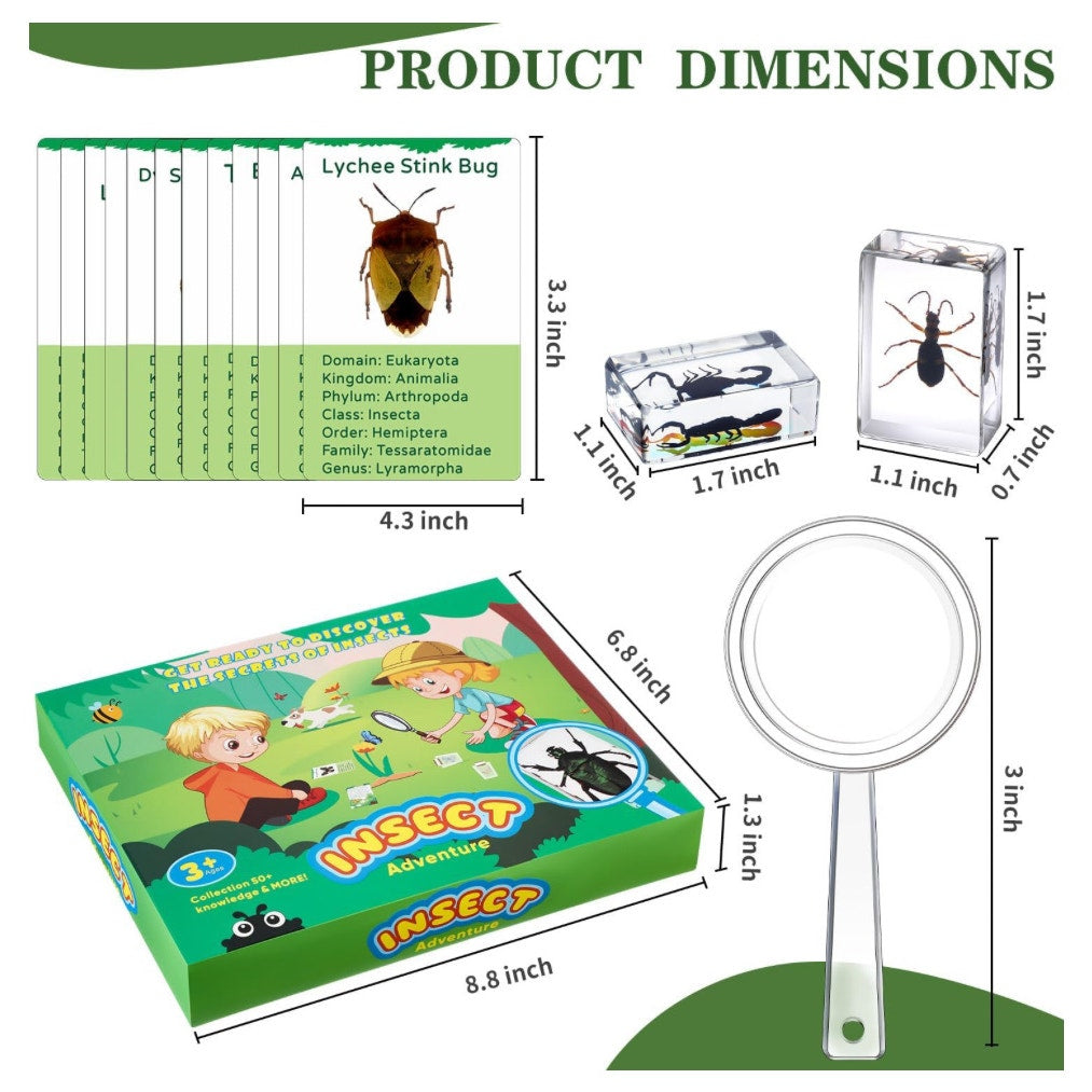12 Pcs Insect in Resin Specimen with 1 Magnifier 12 Information Cards Bugs Collection