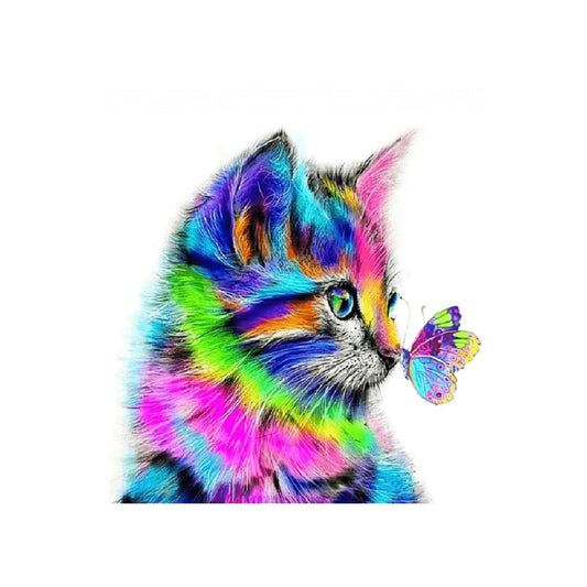 Paint By Numbers Kit – Colorful Cat and Butterfly 16x20