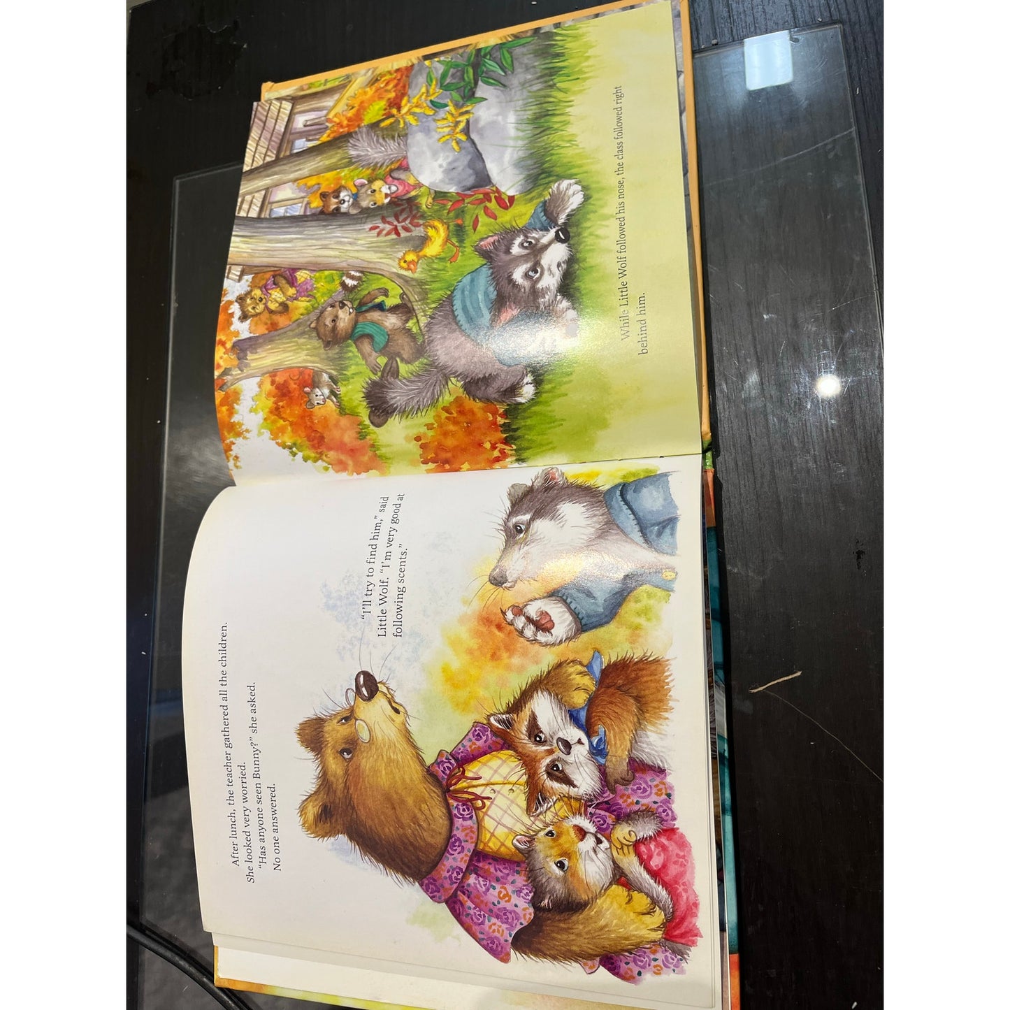 Little Wolf Goes To School Hardcover Book