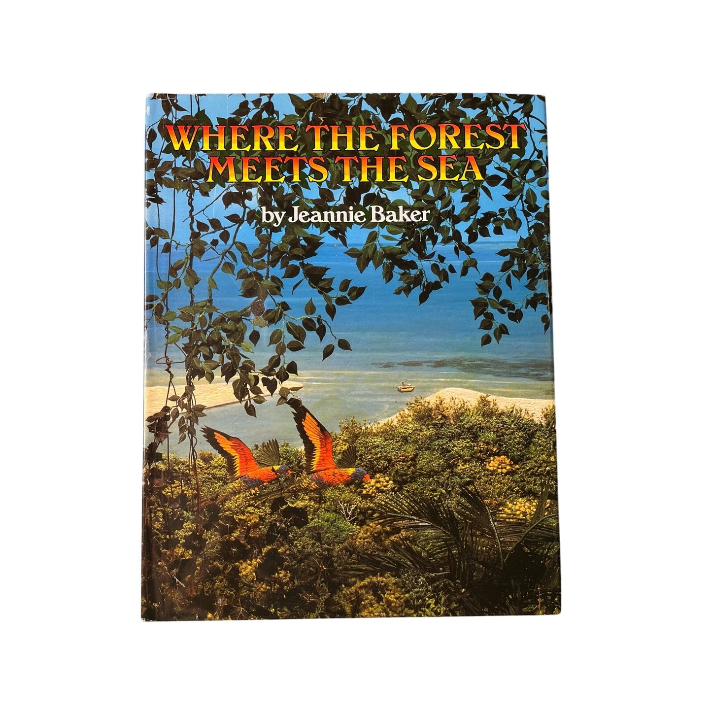 Where The Forest Meet The Sea By Jeannie Baker