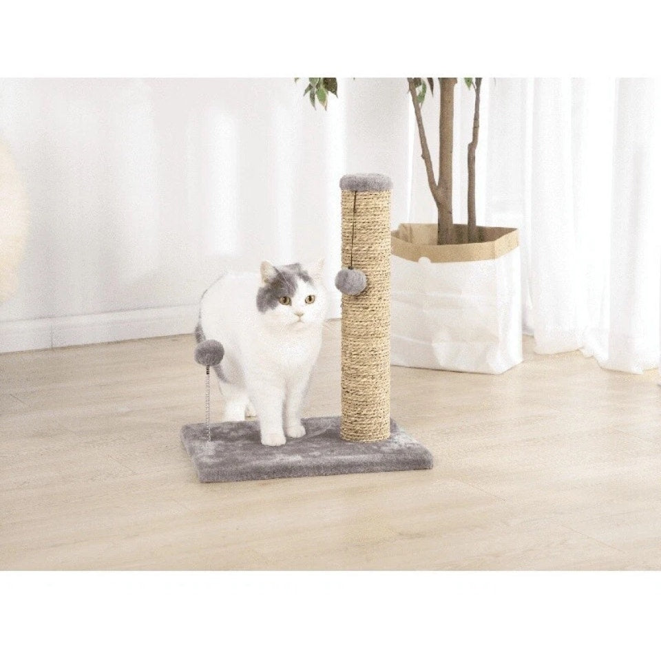 Seagrass Cat Scratch & Play Post W/ Dangle Toys Entertainment Exercise Portable