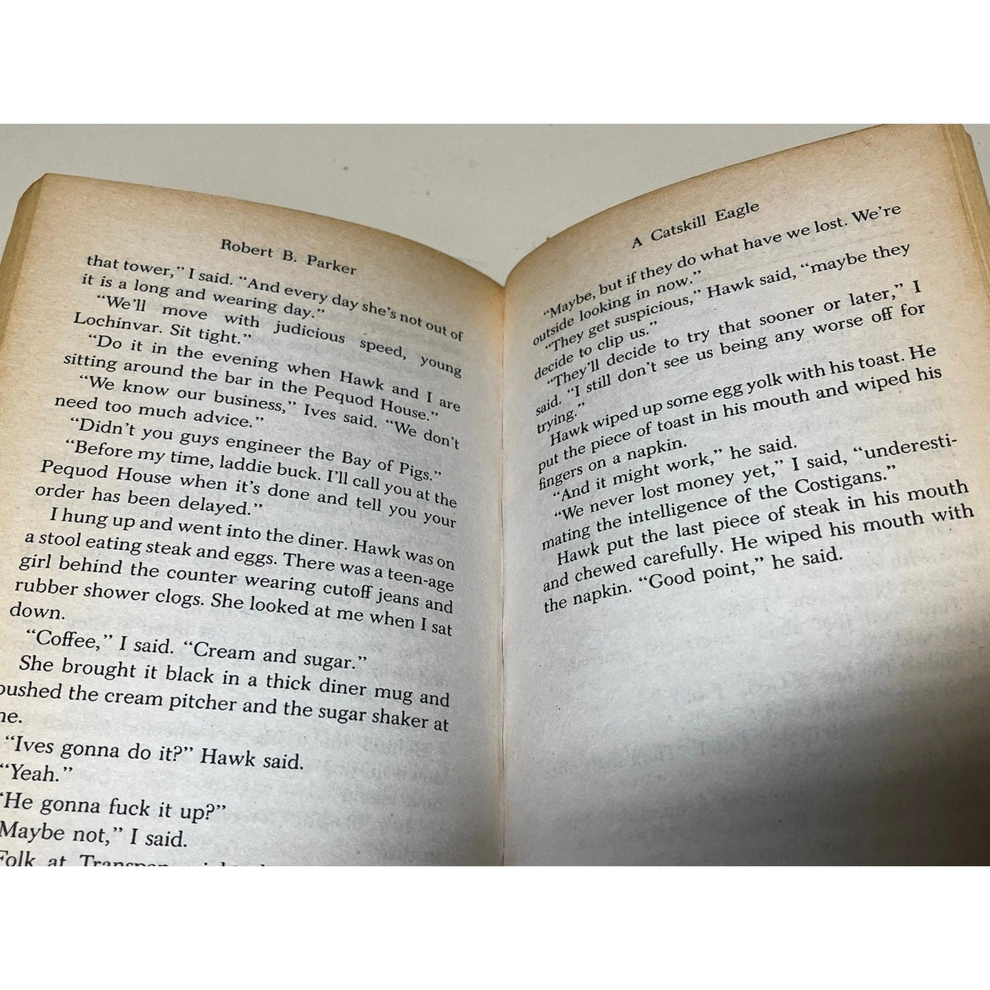 A Catskill Eagle Robert B. Parker Paperbook