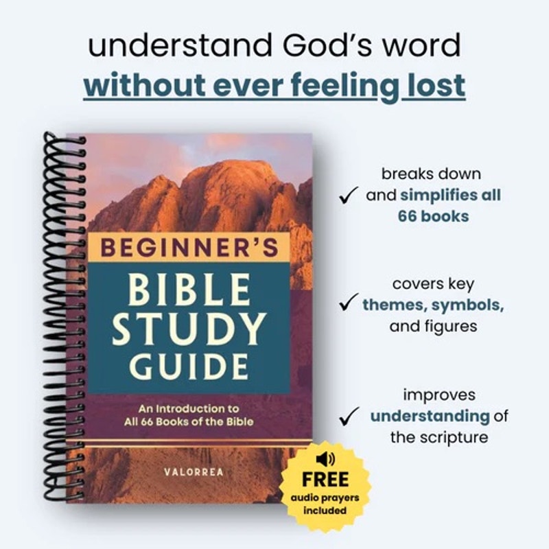 The Beginner's Bible Study Guide: An Introduction to All 66 Books of the Bible