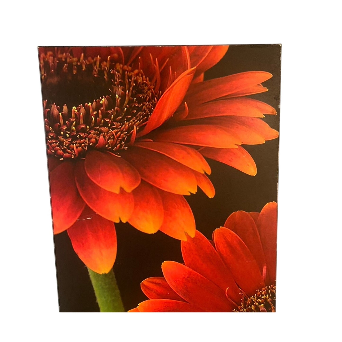 Red Flower painting